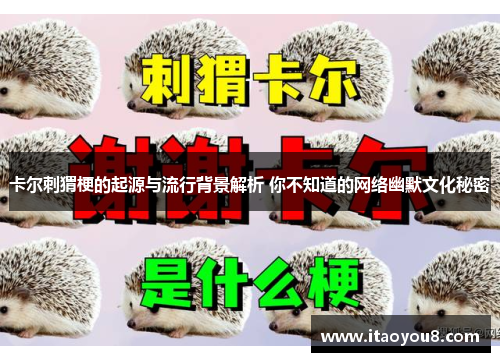 卡尔刺猬梗的起源与流行背景解析 你不知道的网络幽默文化秘密