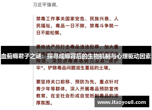 血蓟瘾君子之谜：探寻成瘾背后的生物机制与心理驱动因素