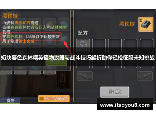 奶块暮色森林精英怪物攻略与战斗技巧解析助你轻松征服未知挑战